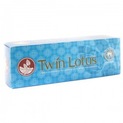 Зубная паста Twin Lotus Премиум блю свежесть и прохлада 100 г